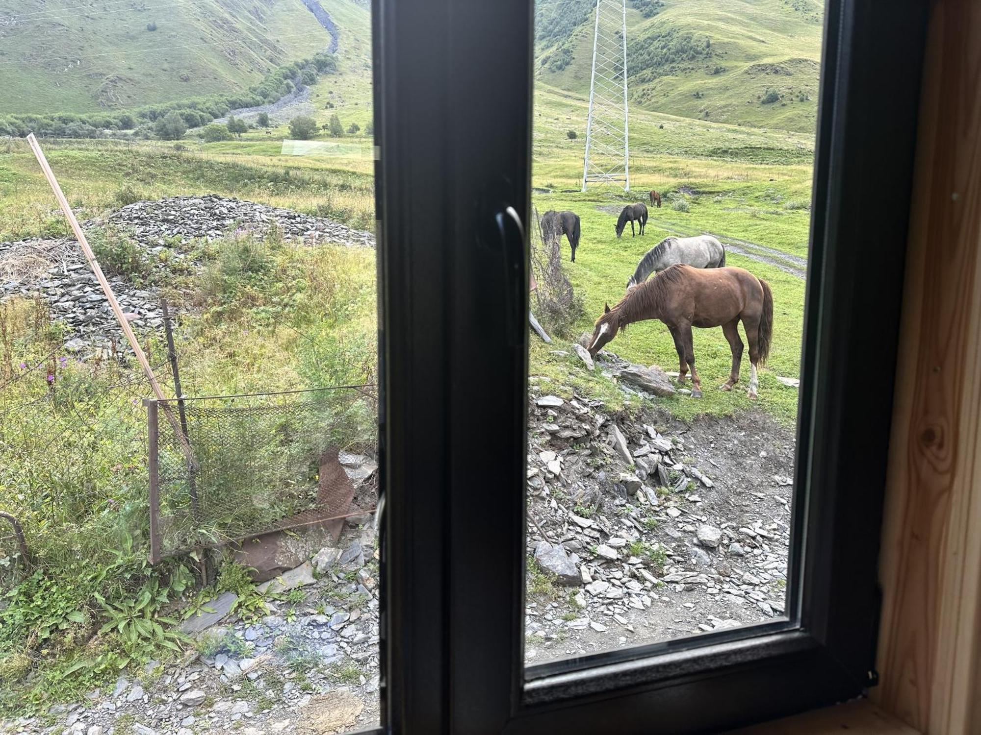 A&B Cottages Kazbegi Ngoại thất bức ảnh